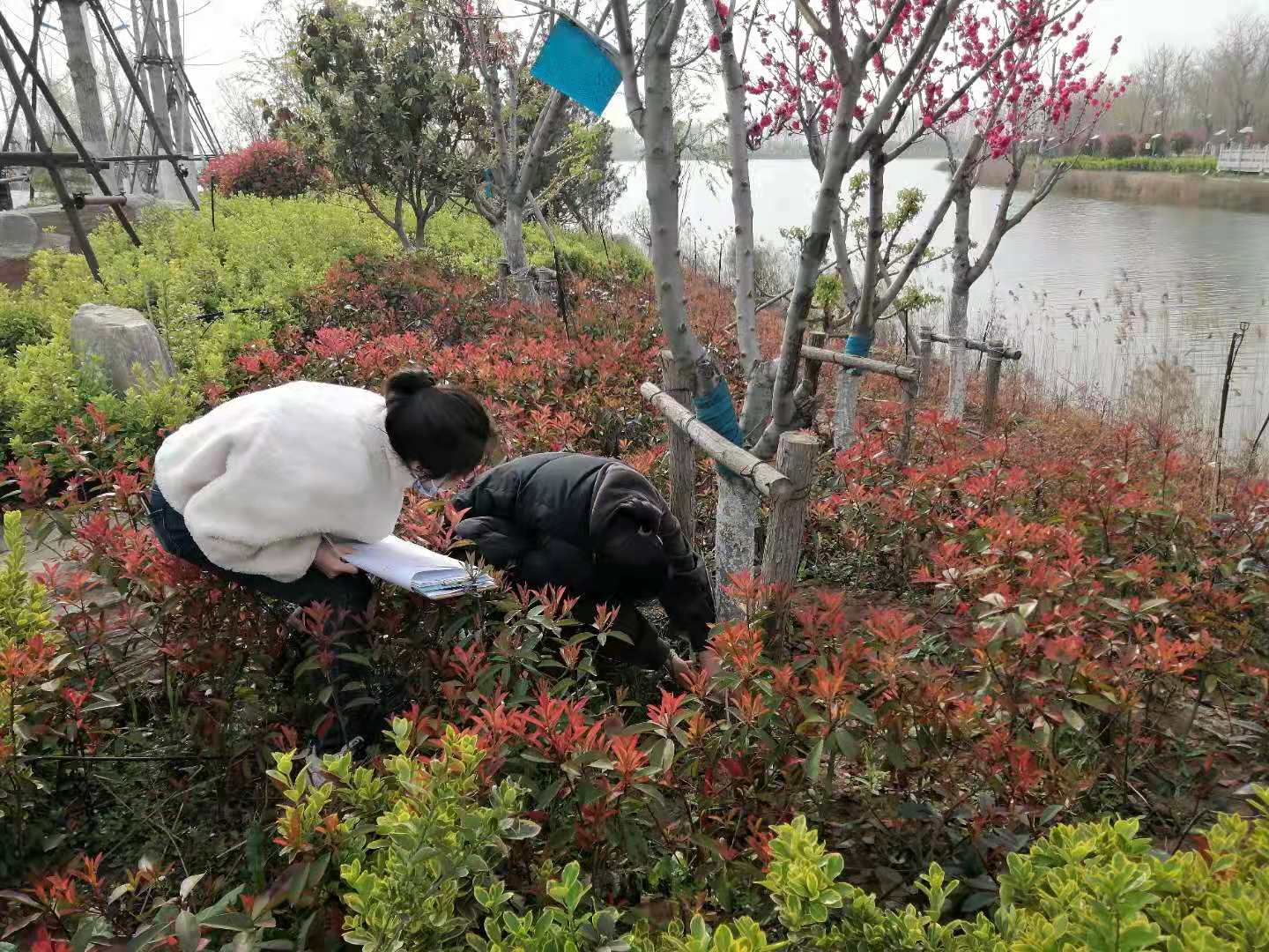 1617783341480145.jpg 1617783341480145.jpg