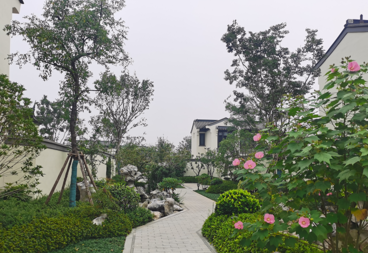 1648882965370996.jpg 桃李春风1 (2).jpg