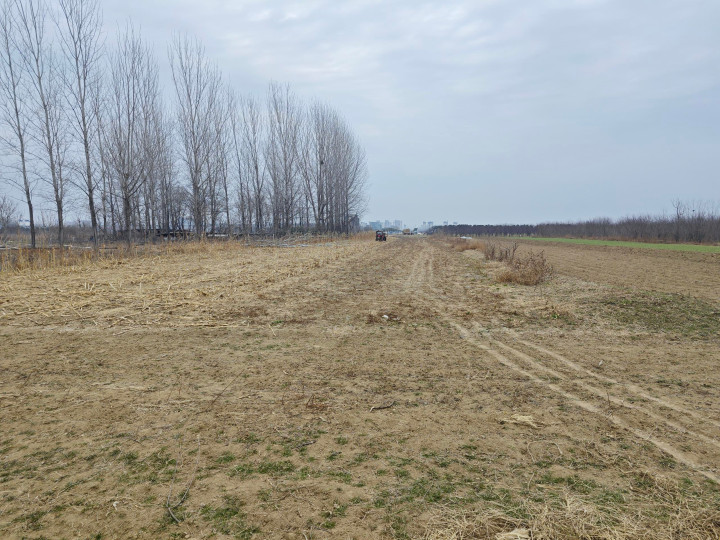 1705462268672835.jpg 953c8008df7e20faa58a956db2092631(1) (2).jpg